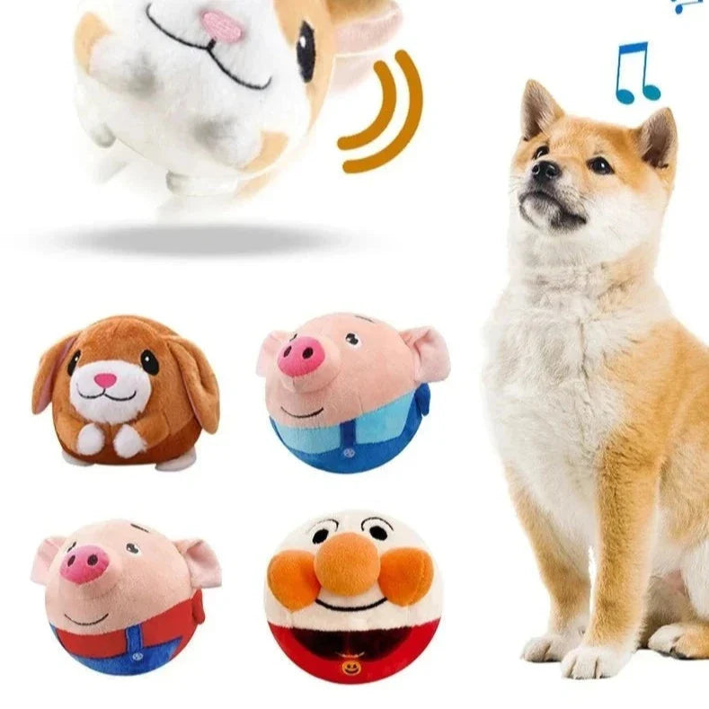 Pountce® Balle de Jeu Interactive pour Animal